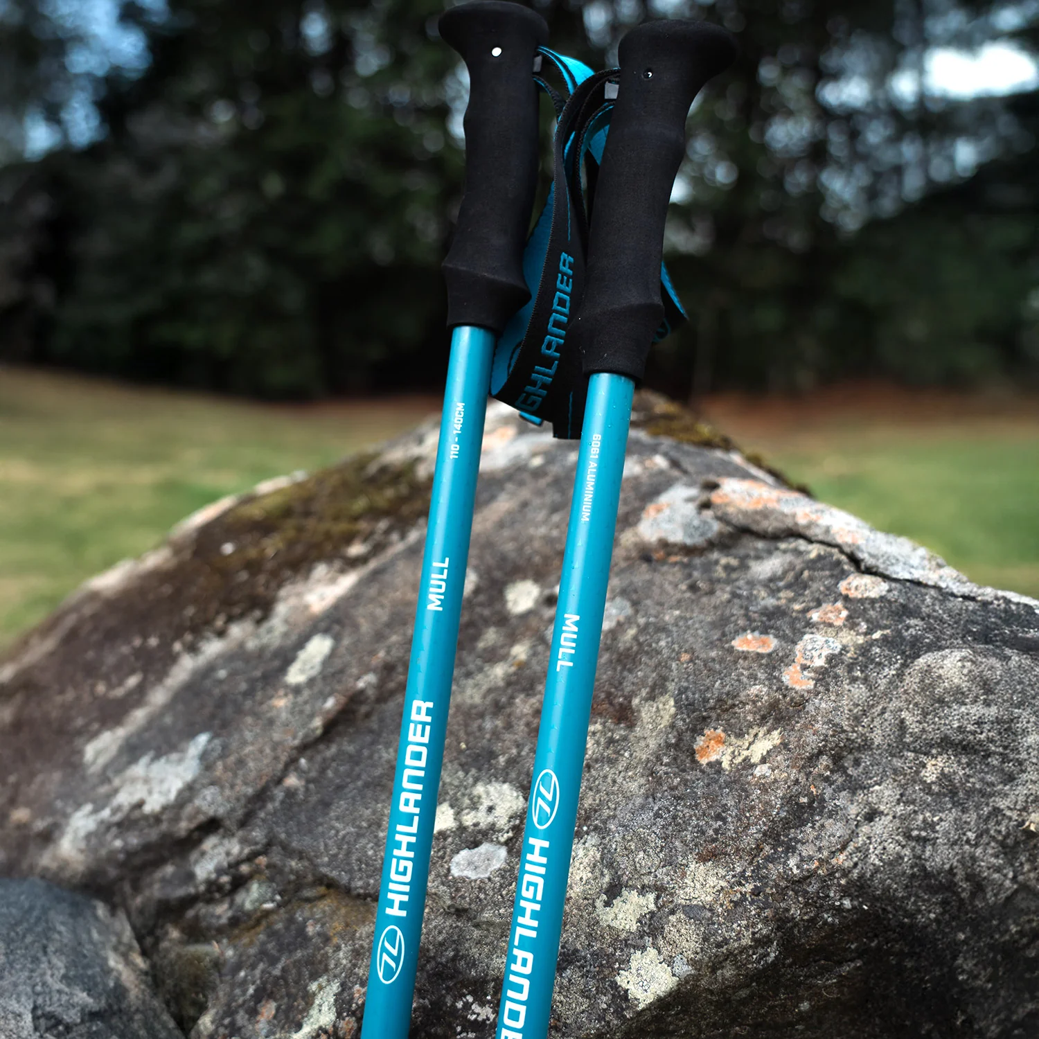 Mull Walking Poles (SET OF 2) - Image 10